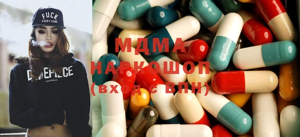 индика Алексин