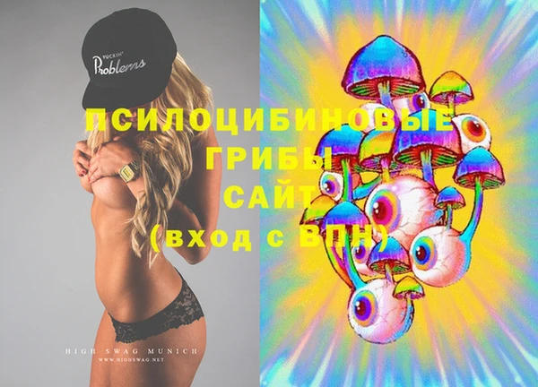 индика Алексин