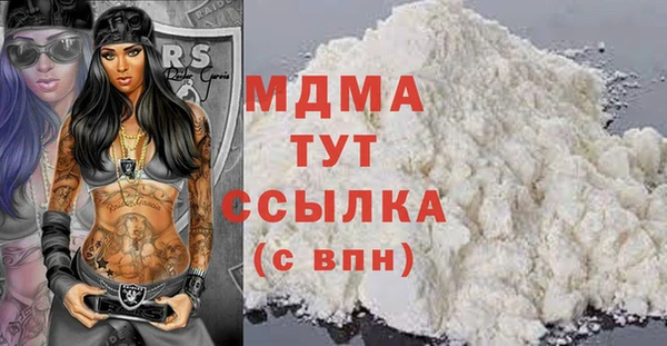 индика Алексин