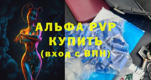 индика Алексин